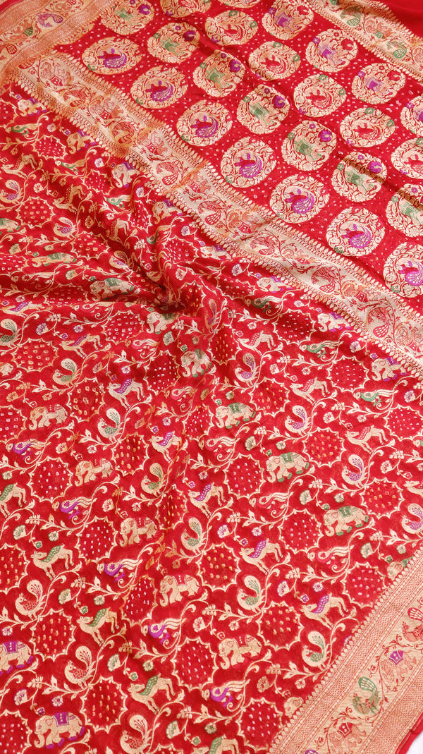 Shikargah Bandhej Khaddi Georgette Saree