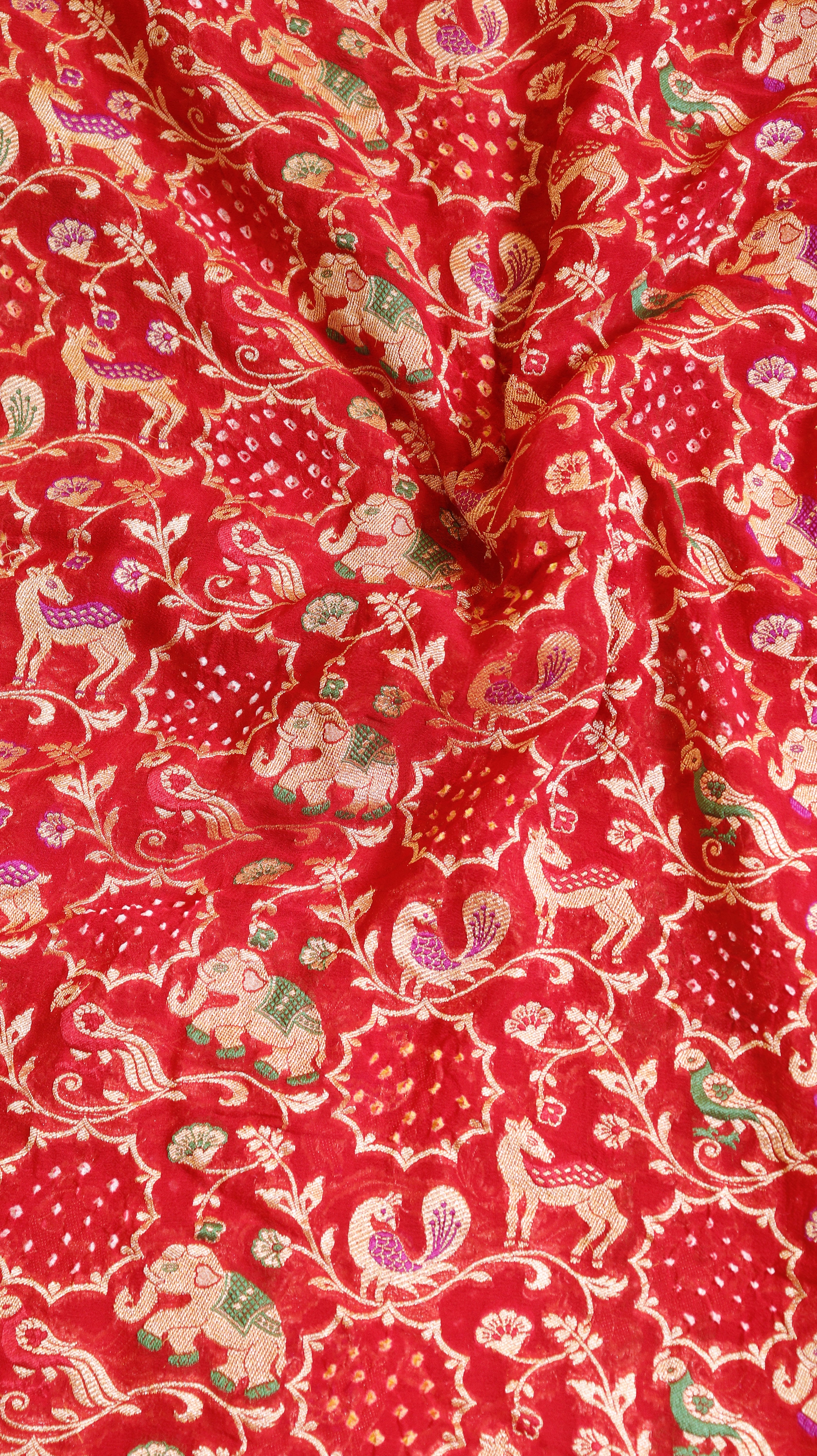 Shikargah Bandhej Khaddi Georgette Saree