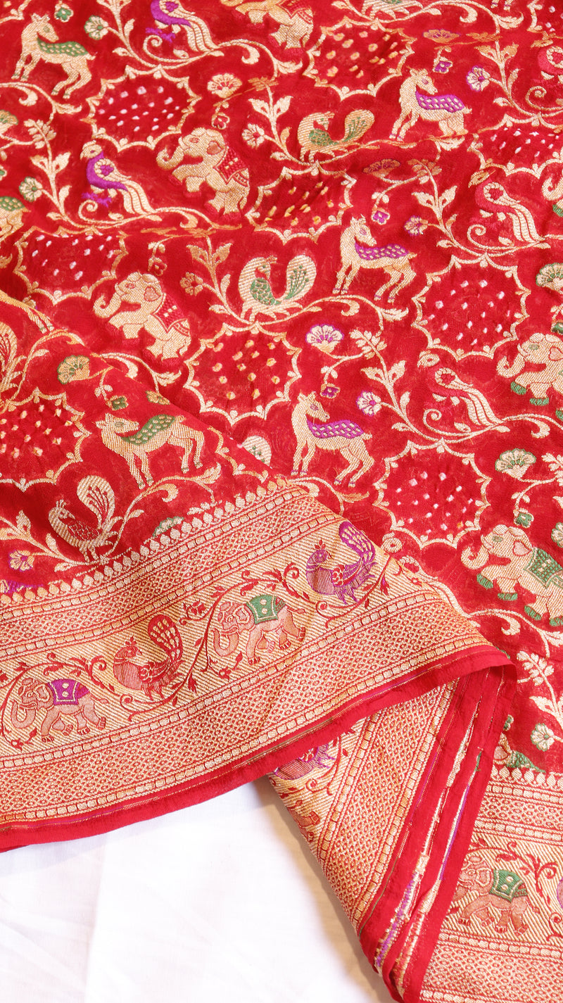 Shikargah Bandhej Khaddi Georgette Saree