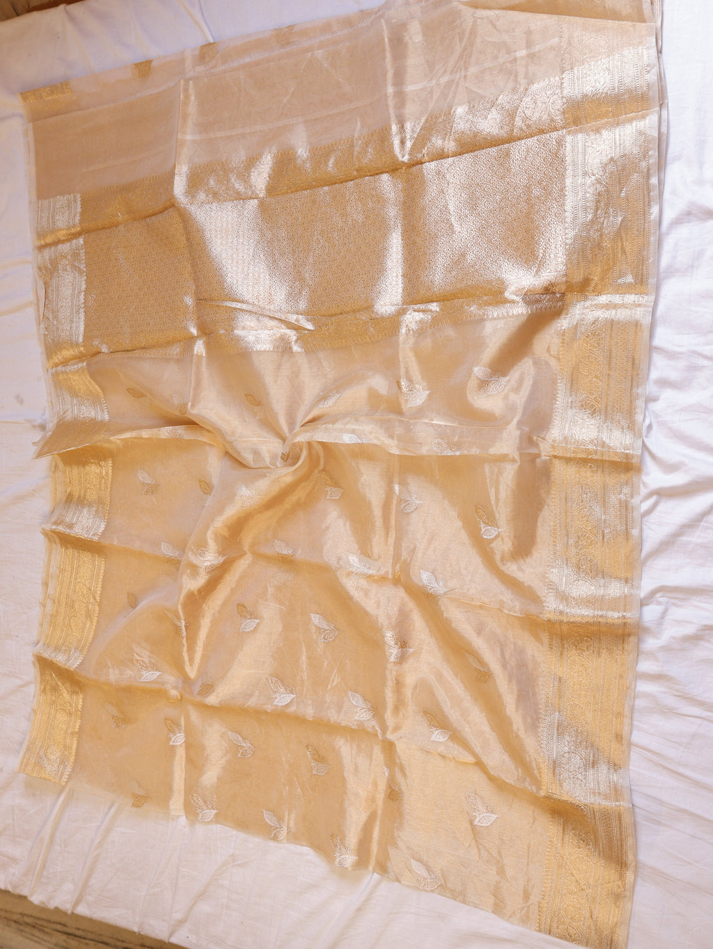 Pre - Order : Gold Zari Border Handloom Pure Tissue Silk Saree - Beige