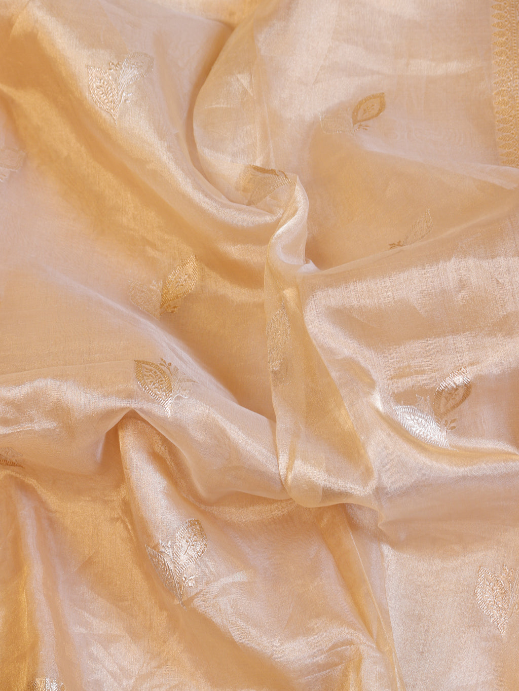 Pre - Order : Gold Zari Border Handloom Pure Tissue Silk Saree - Beige
