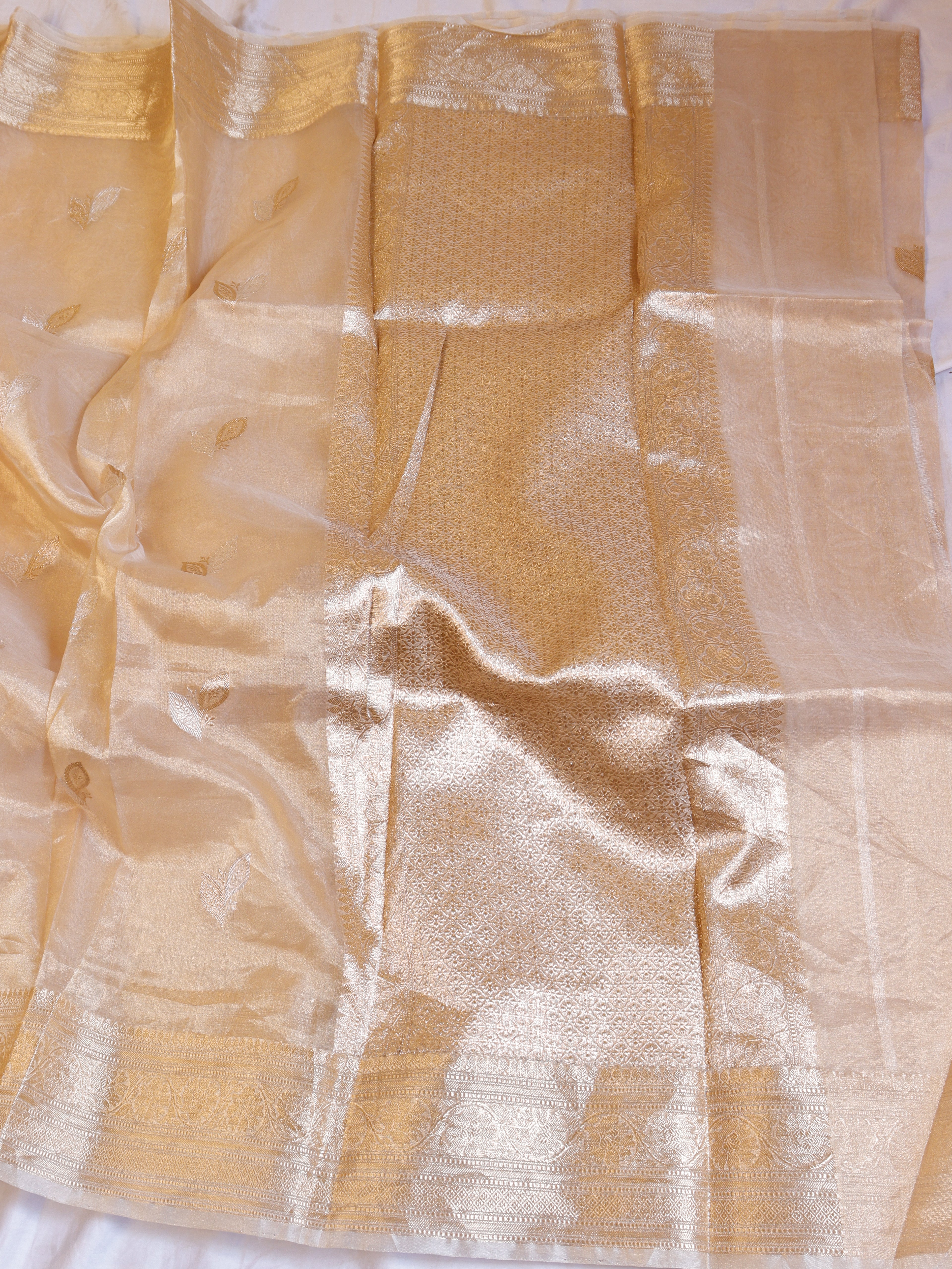 Pre - Order : Gold Zari Border Handloom Pure Tissue Silk Saree - Beige