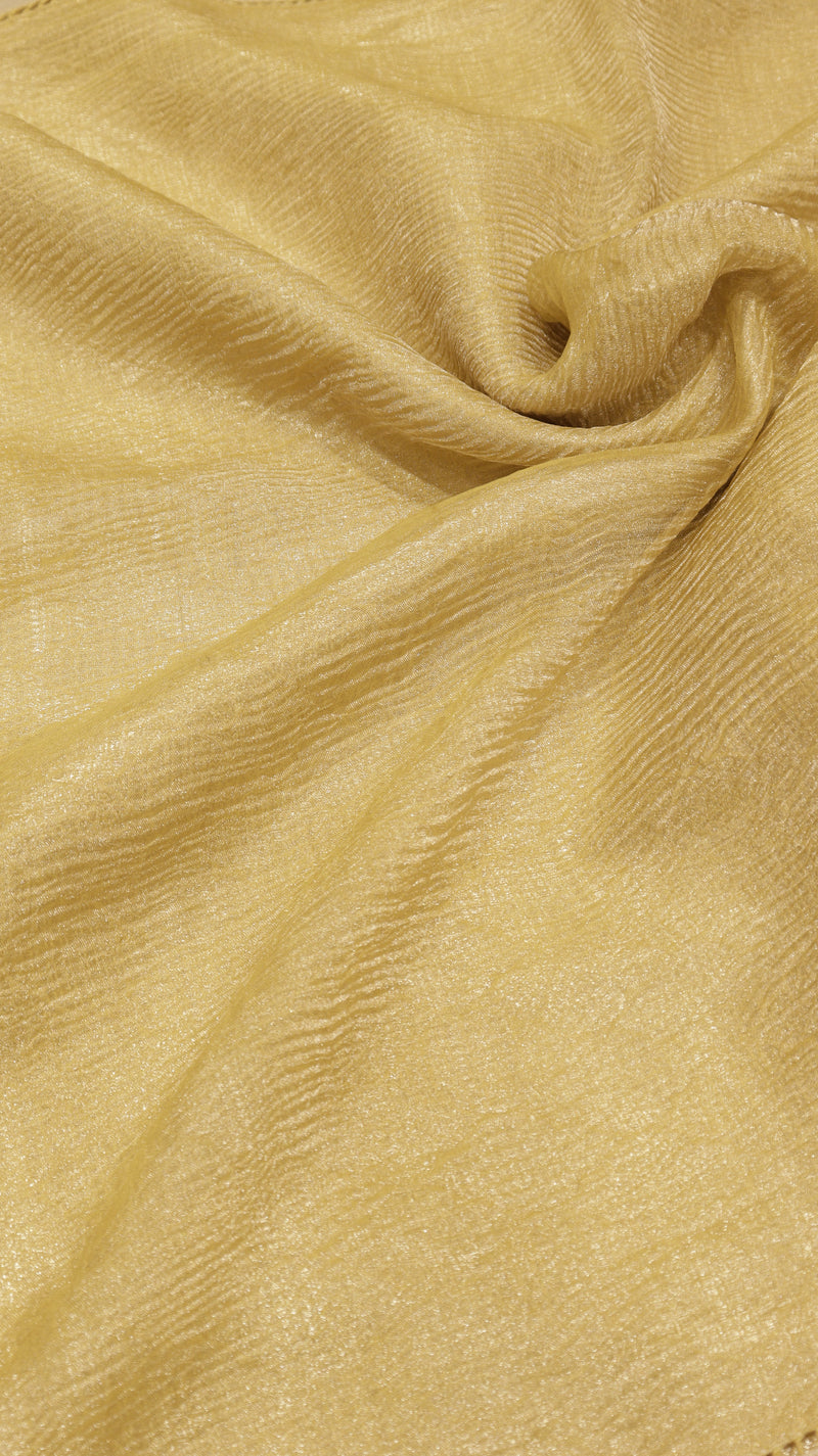 Handloom Crushed Tissue Saree With Cross-Stitched Border