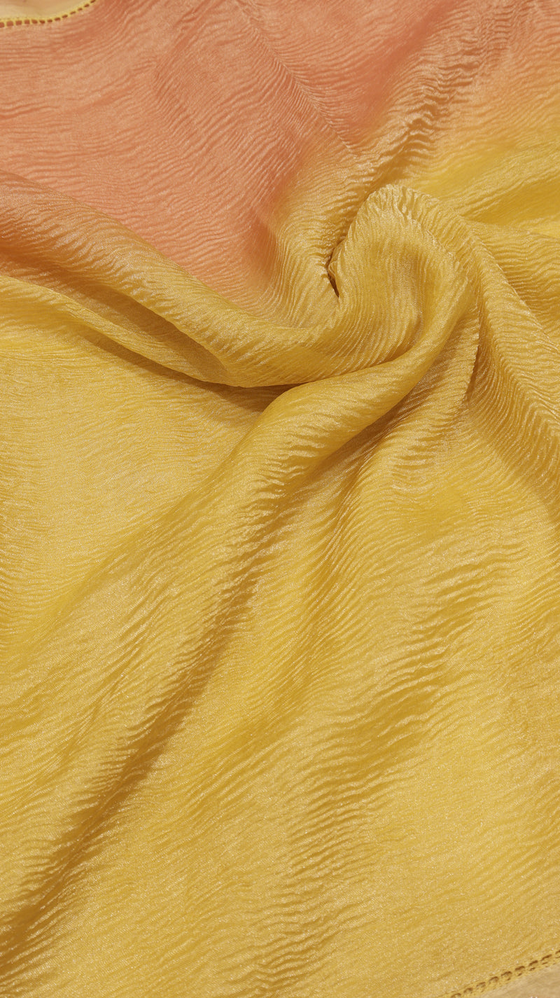 Handloom Crushed Tissue Saree With Cross-Stitched Border