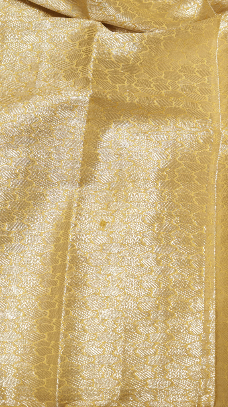 Handloom Crushed Tissue Saree With Cross-Stitched Border