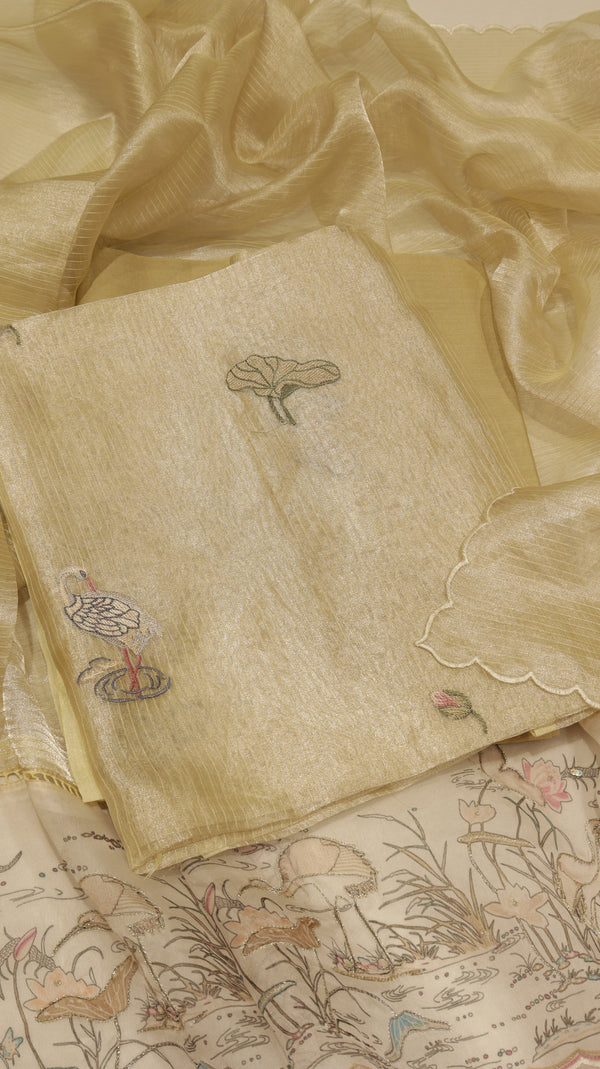 Hand Embroidered Banarasi Tissue Silk Suit