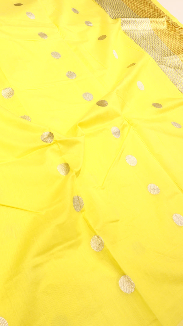 Handloom Pure Banarasi Cotton Saree