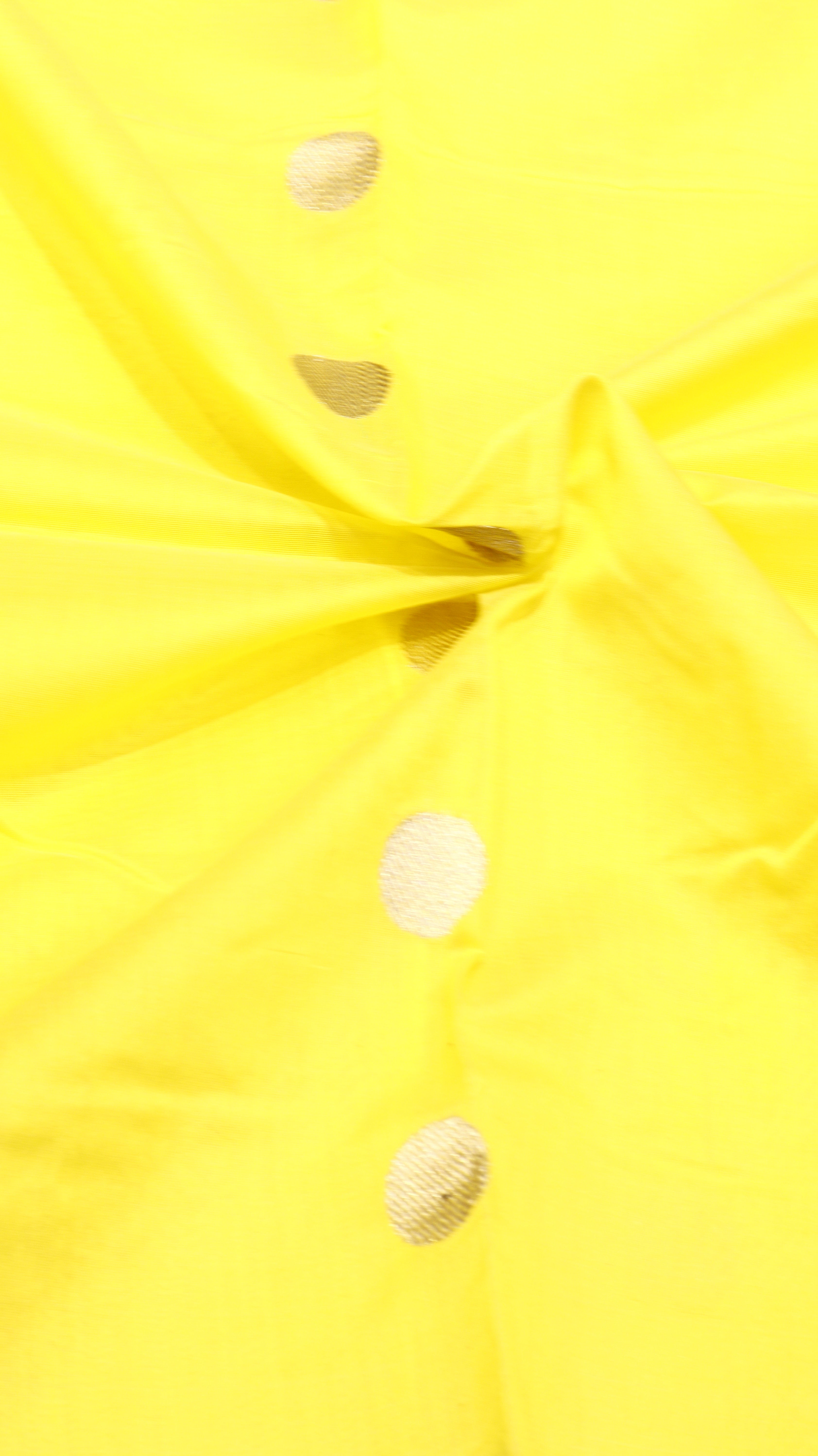 Handloom Pure Banarasi Cotton Saree