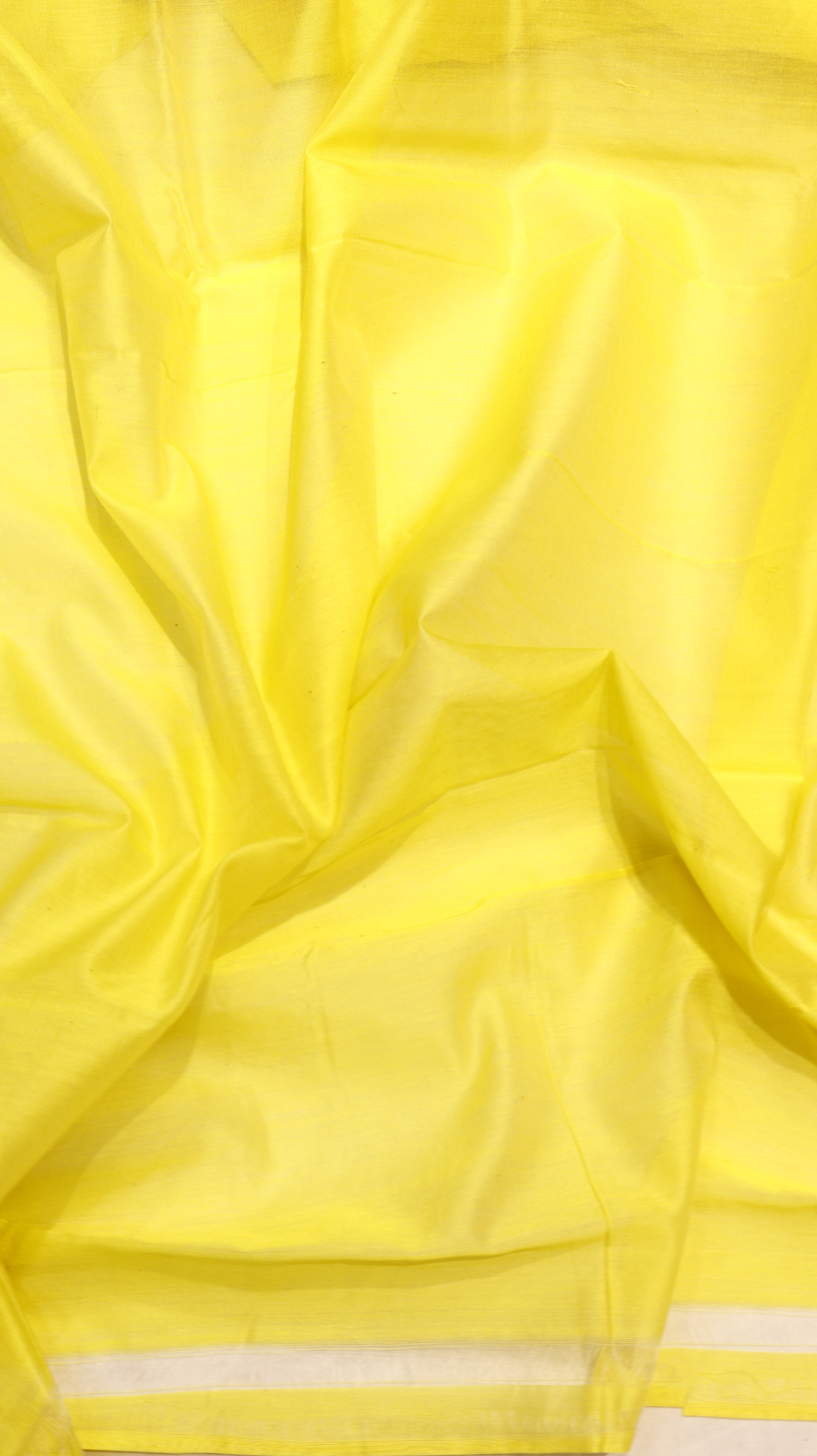 Handloom Pure Banarasi Cotton Saree