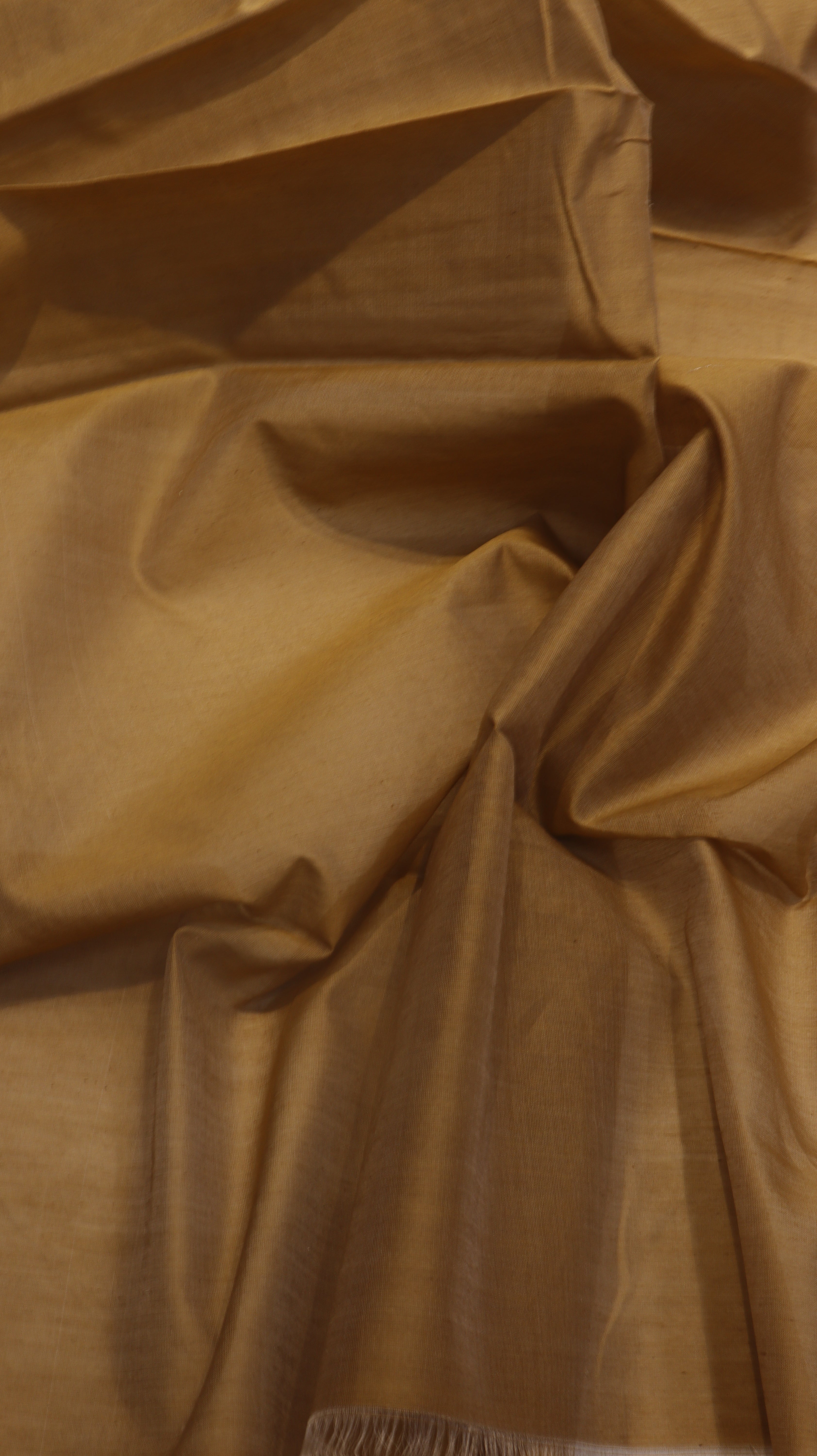 Handloom Pure Banarasi Cotton Saree