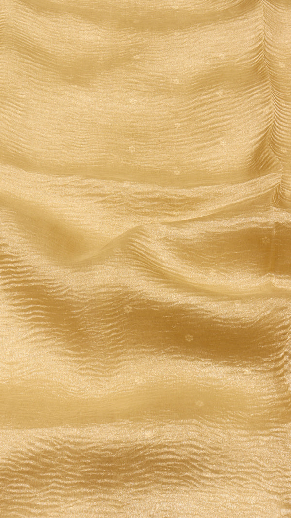 Handloom Pure Crushed Tissue Saree