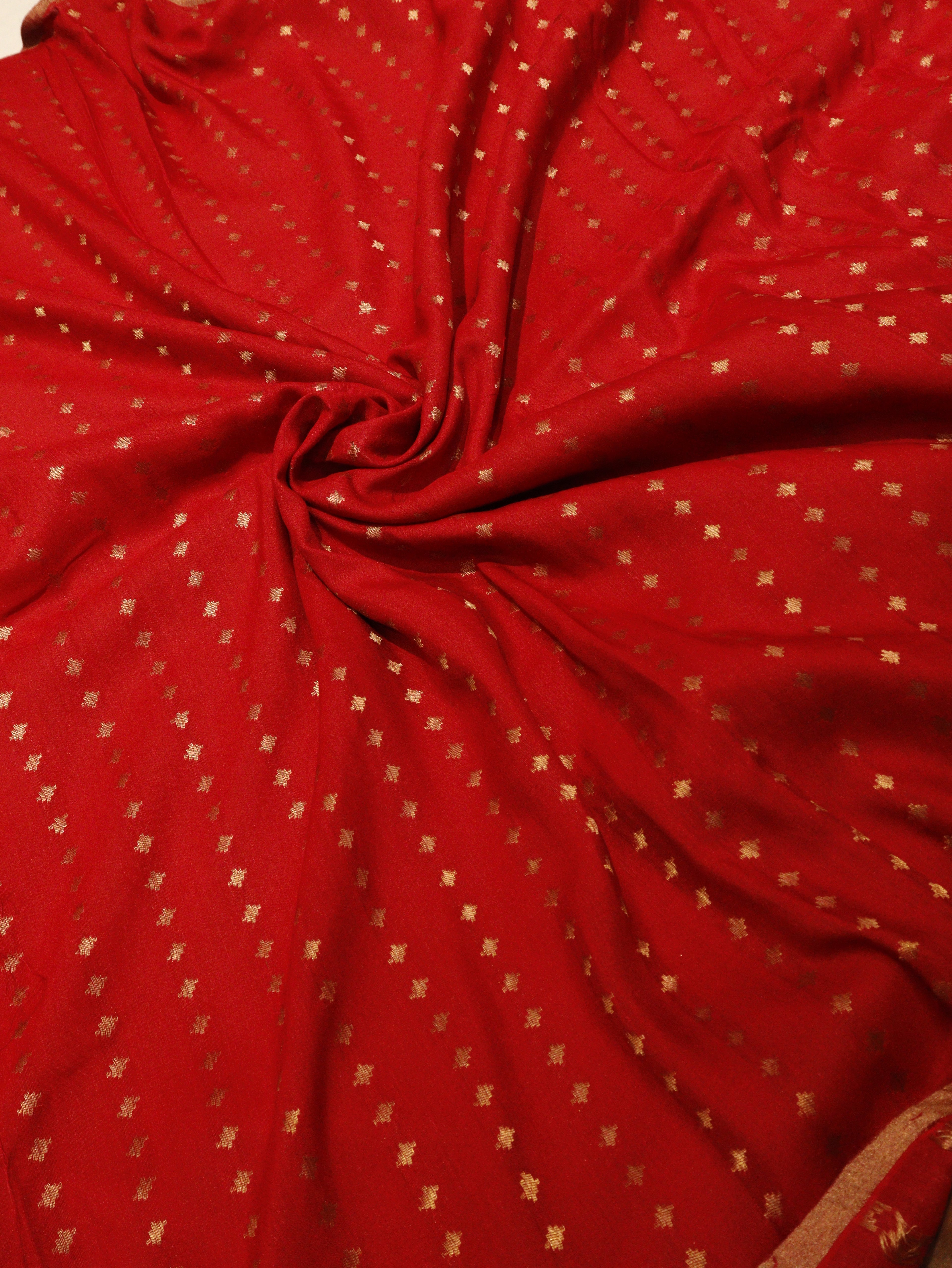 Paisley Pallu Handloom Banarasi Moonga Silk Saree - Purple with Red