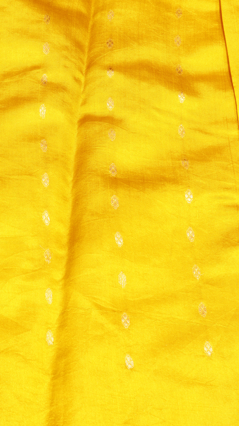 Handloom Pure Soft Katan Saree