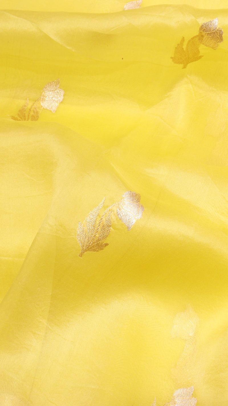 Handloom Pure Kora Silk Saree
