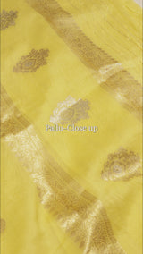 Handloom Pure Cotton Saree