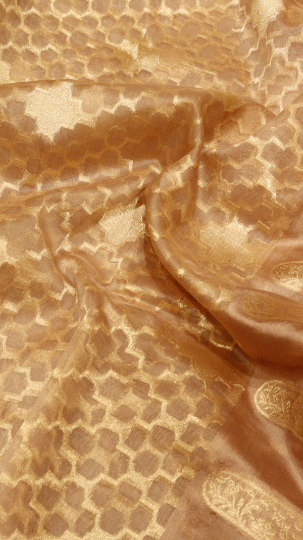 Kora Silk Saree with Katan Border