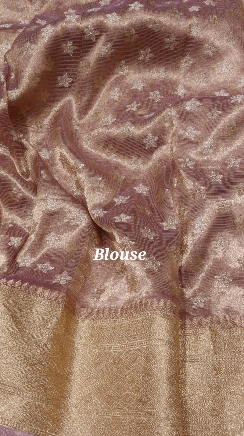 Tissue Silk Saree with Meenakari Work