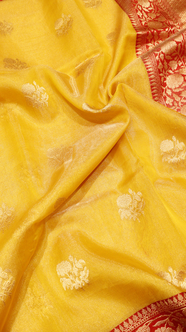 Pure Tissue Banarasi Saree - Satin Border