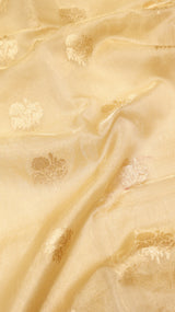Pure Tissue Banarasi Saree - Satin Border