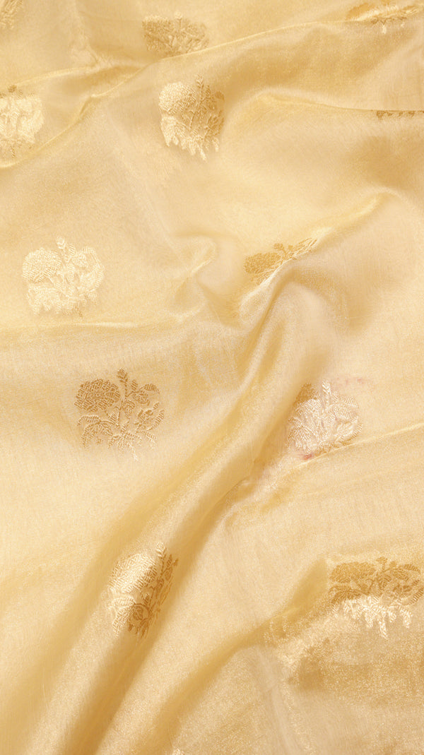 Pure Tissue Banarasi Saree - Satin Border
