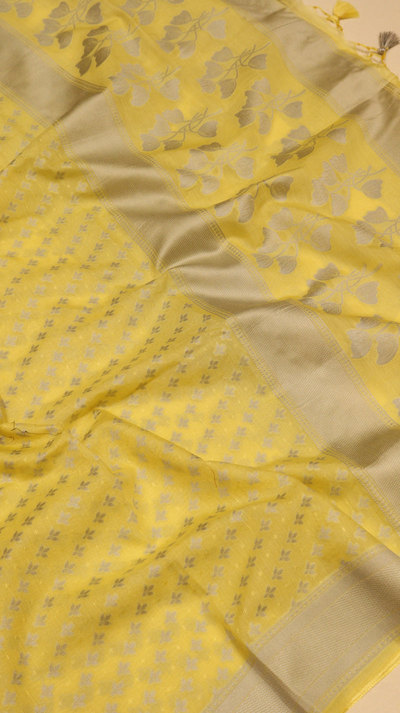 Pure Cotton Suit Set