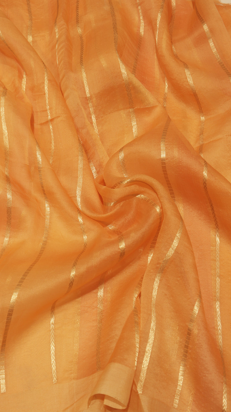 Handloom Rangkaat Kora Silk Saree