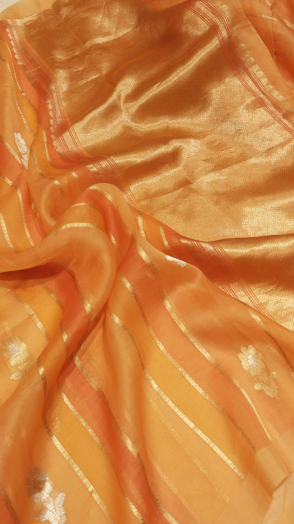 Handloom Rangkaat Kora Silk Saree