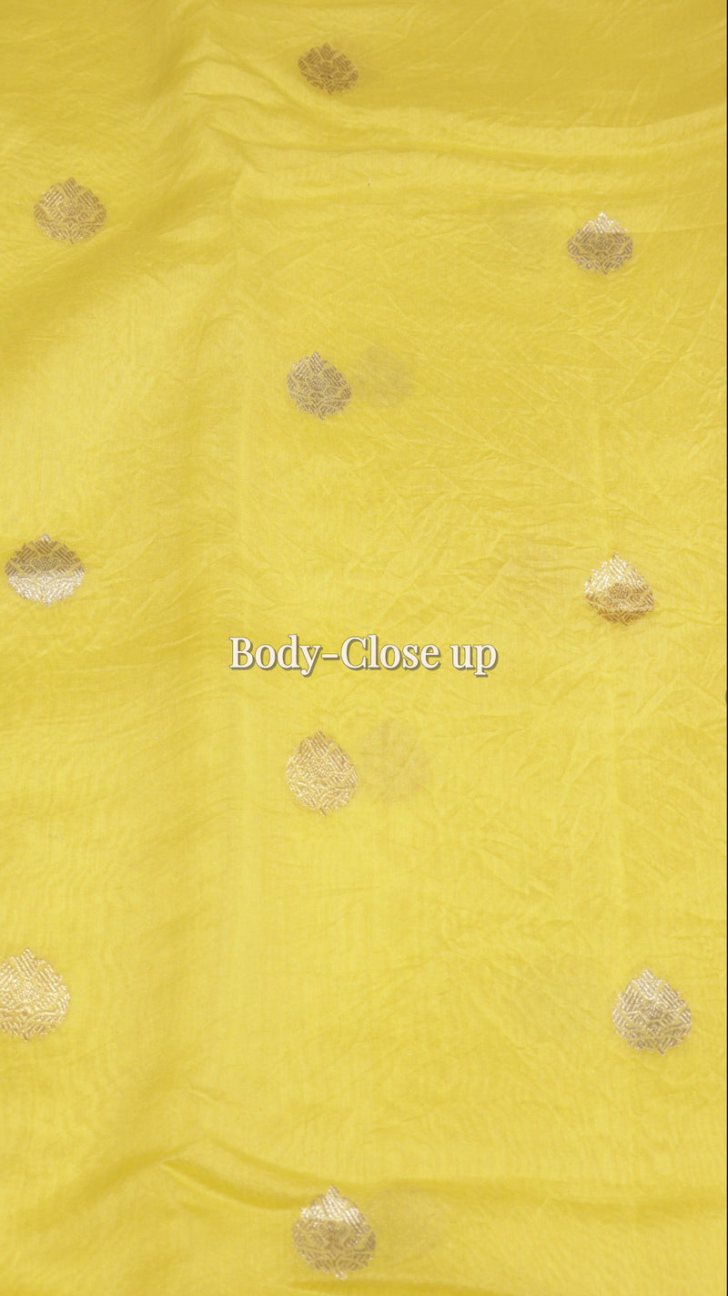 Handloom Pure Cotton Saree