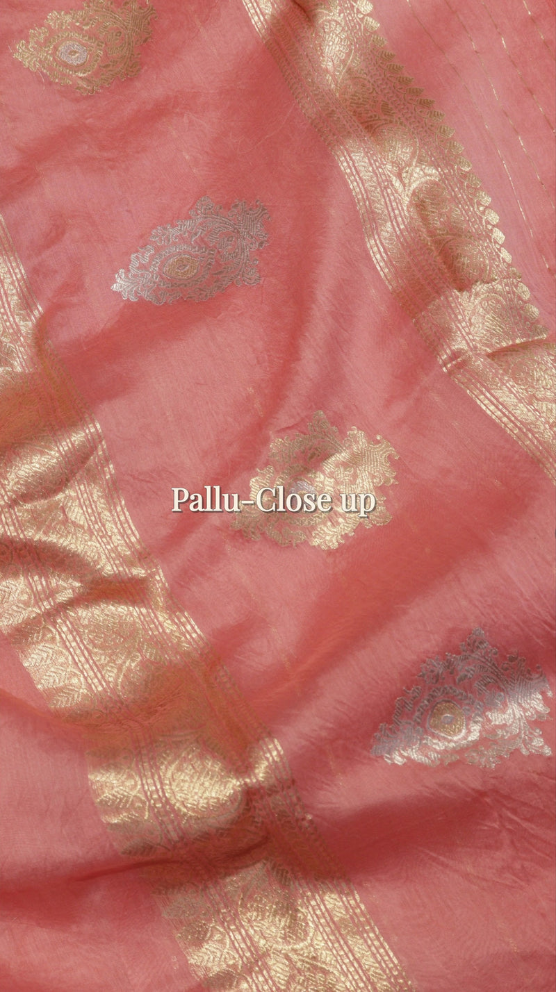 Handloom Pure Cotton Saree