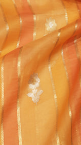 Handloom Rangkaat Kora Silk Saree