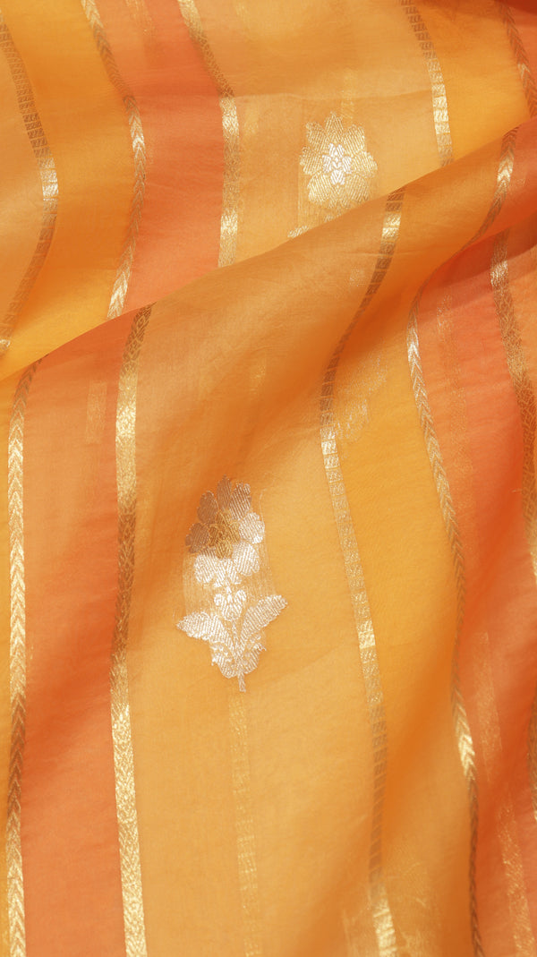 Handloom Rangkaat Kora Silk Saree