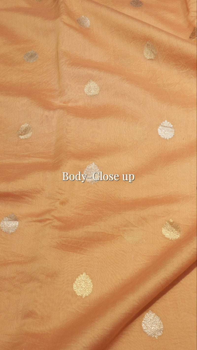 Handloom Pure Cotton Saree